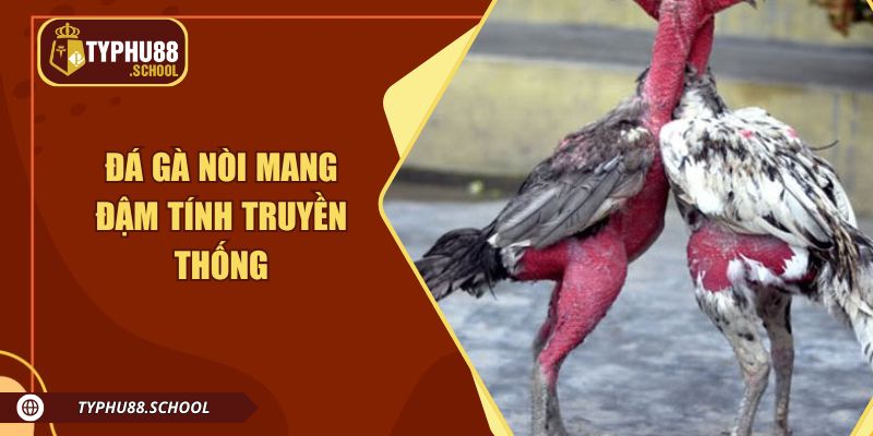 Đá gà nòi là hình thức chọi kê mang đậm tính truyền thống