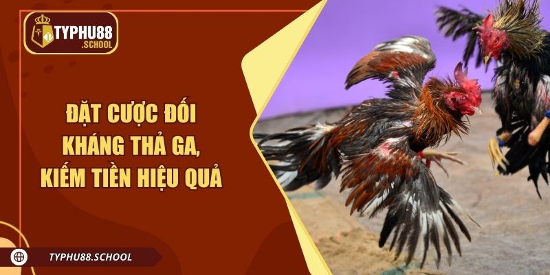 Đặt cược đối kháng thả ga, kiếm tiền hiệu quả